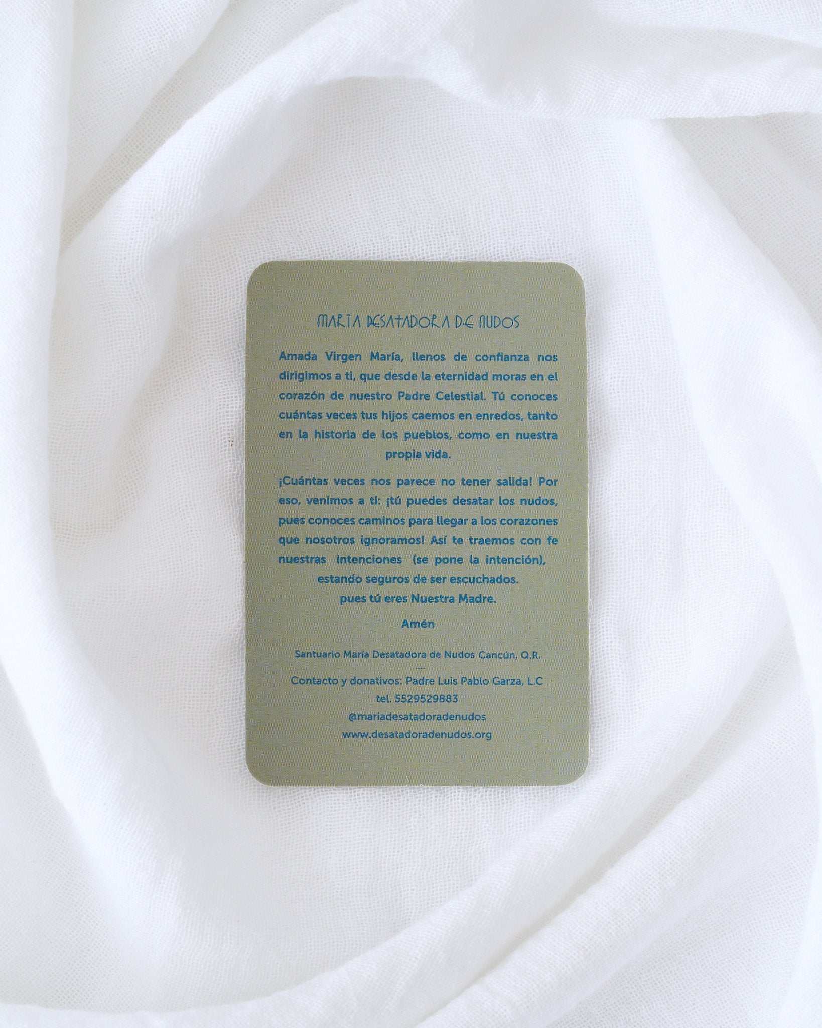 ESTAMPA VIRGEN DESATADORA DE NUDOS VERDE - CARTERA